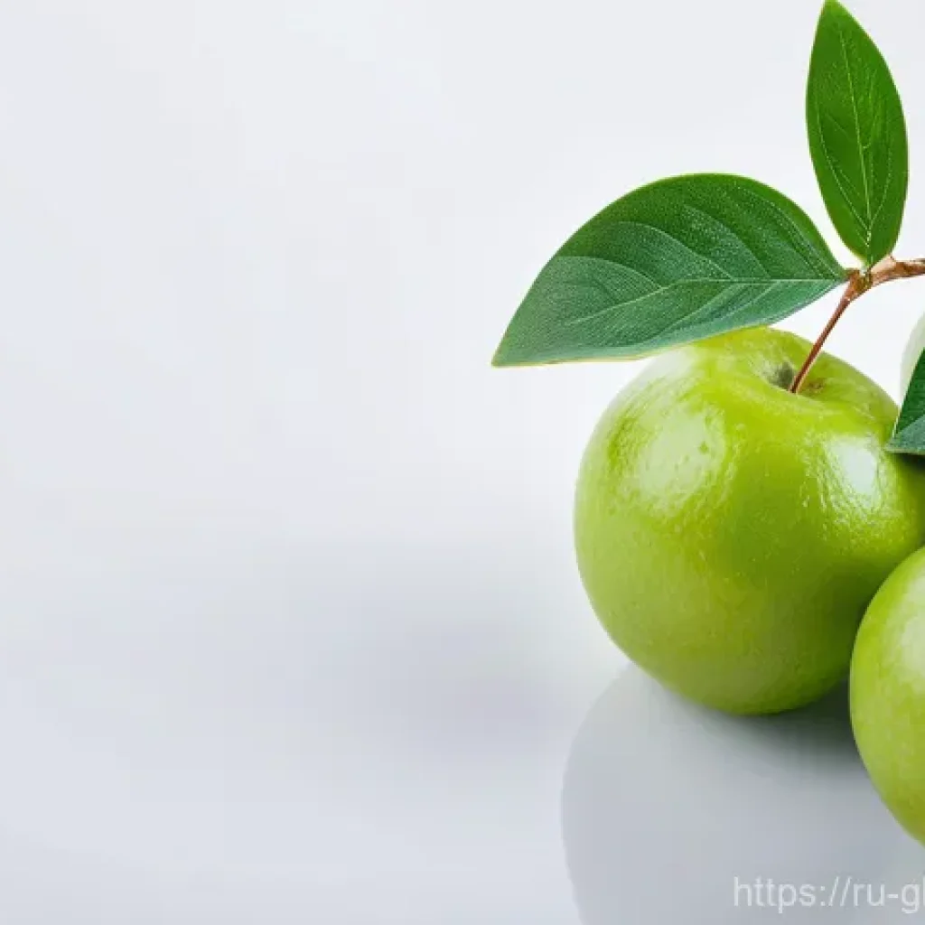 글로벌브릿지와 국제 환경 협약 관련 이미지 1