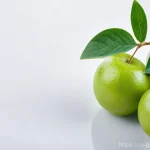 글로벌브릿지와 국제 환경 협약 관련 이미지 1