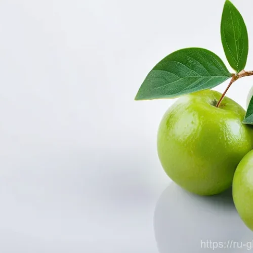 Home 18 글로벌브릿지와 국제 환경 협약 관련 이미지 1