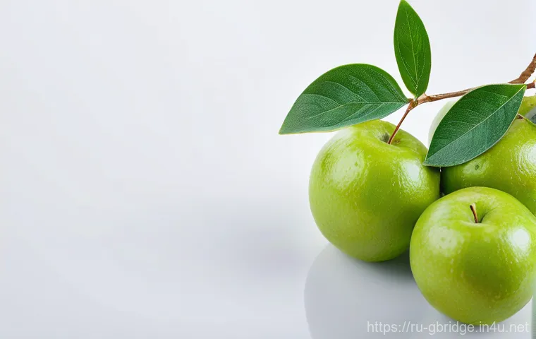 글로벌브릿지와 국제 환경 협약 관련 이미지 1